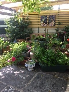 Garden Prints on ChromaLuxe HD Metal Print Garden Prints on ChromaLuxe HD Metal Print